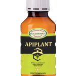 Apiplant